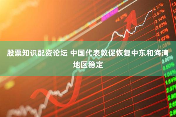股票知识配资论坛 中国代表敦促恢复中东和海湾地区稳定