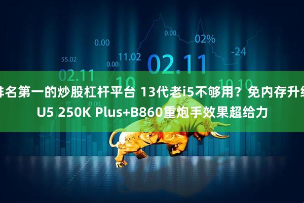 排名第一的炒股杠杆平台 13代老i5不够用？免内存升级U5 250K Plus+B860重炮手效果超给力
