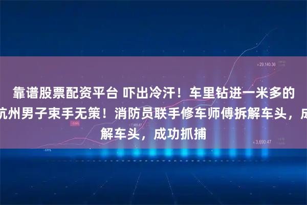 靠谱股票配资平台 吓出冷汗！车里钻进一米多的长蛇，杭州男子束手无策！消防员联手修车师傅拆解车头，成功抓捕